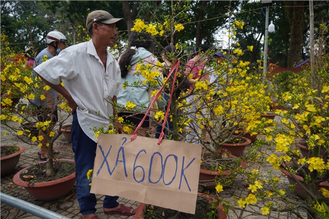 Hoa Tết ở TP.HCM bắt đầu giảm giá, vẫn vắng khách mua (08/02/2024)
